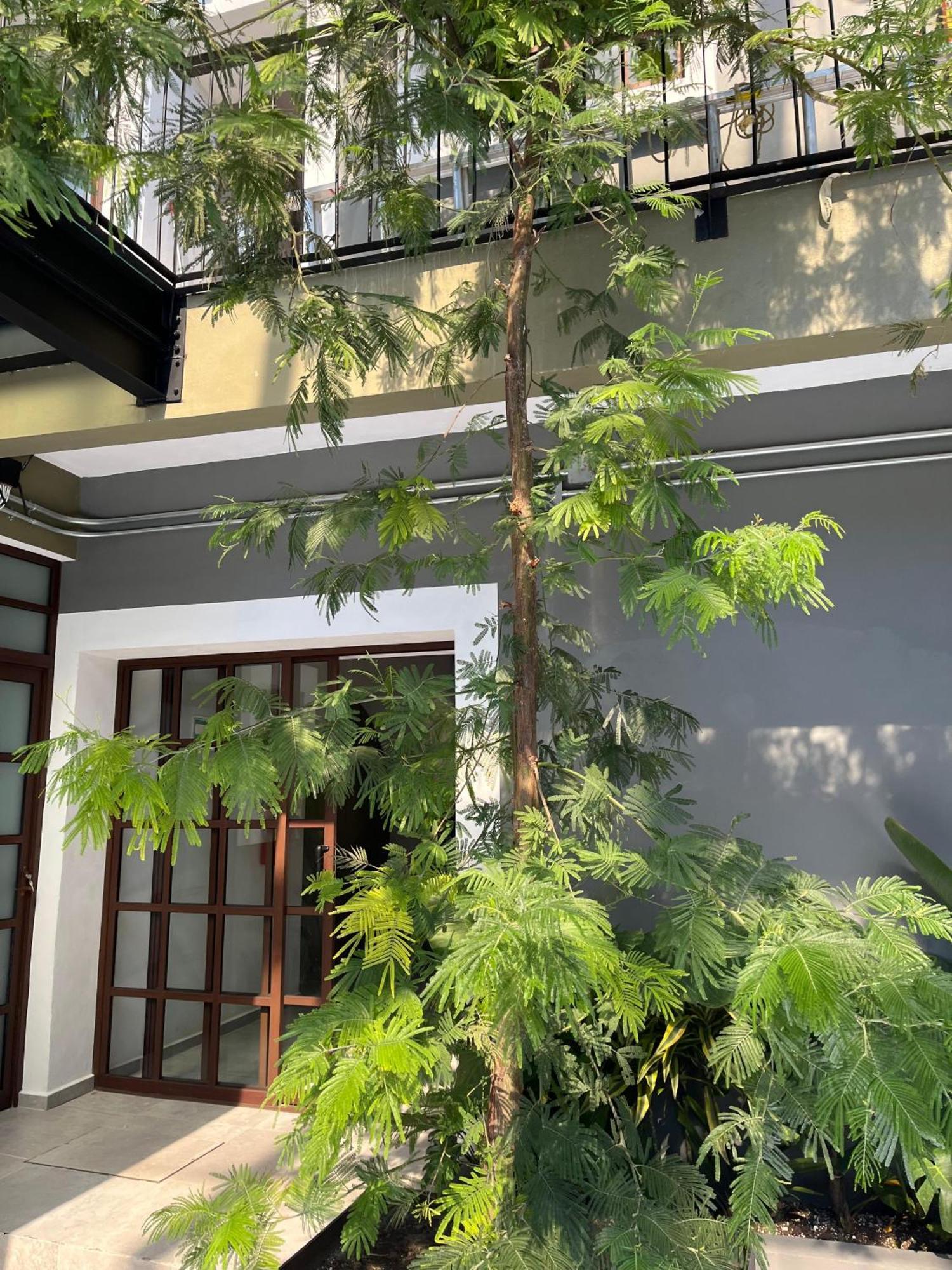 Eonia Hotel Atlixco Exterior foto